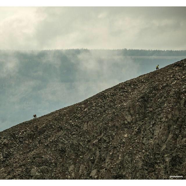 ReadRunRave tweet media