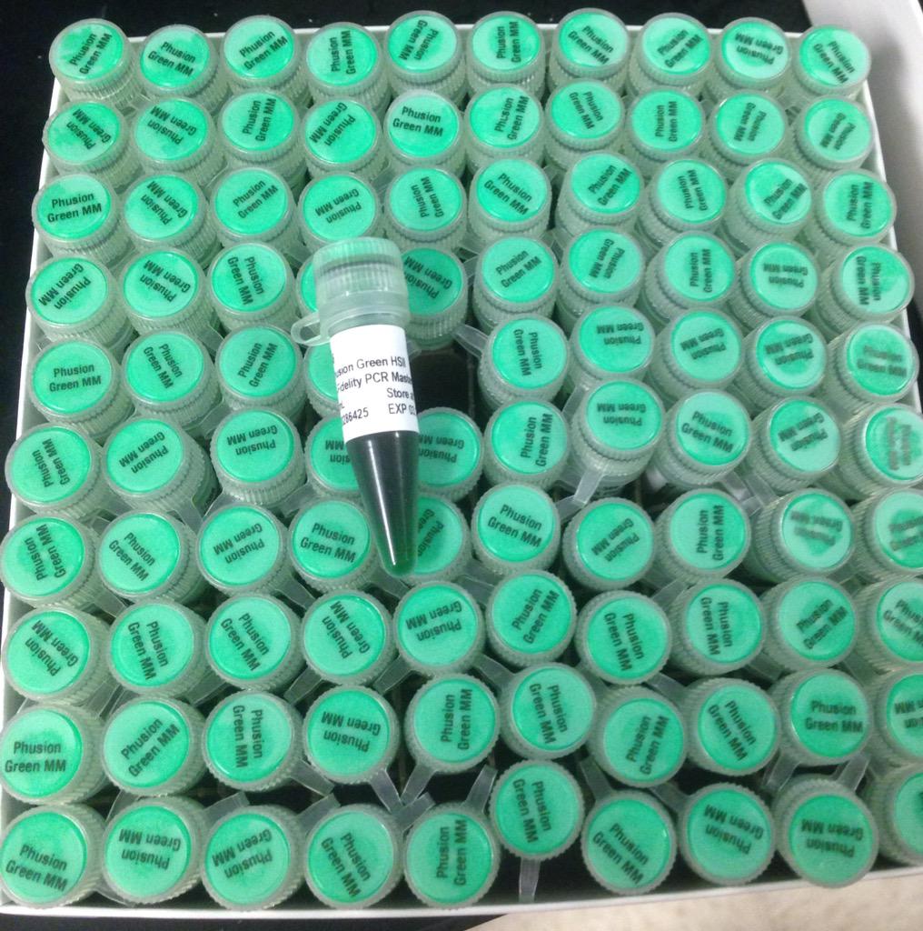 Stocking up on reagents. Time to do some science! #greengenes #pcr #fridaylabday