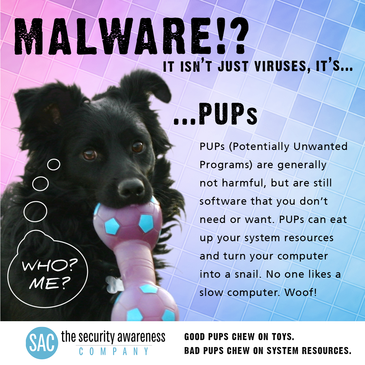 SecAwareCo's tweet photo. #MalwareMonth: Do you know the difference between #goodpups and bad #PUPs?? http://t.co/WAiHU1ecMH