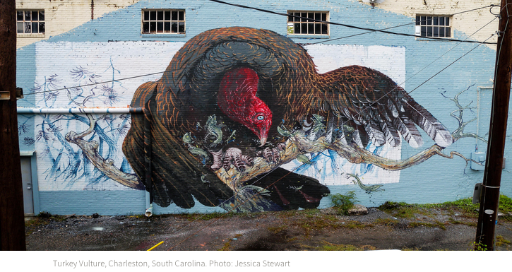 audubonsociety tweet picture