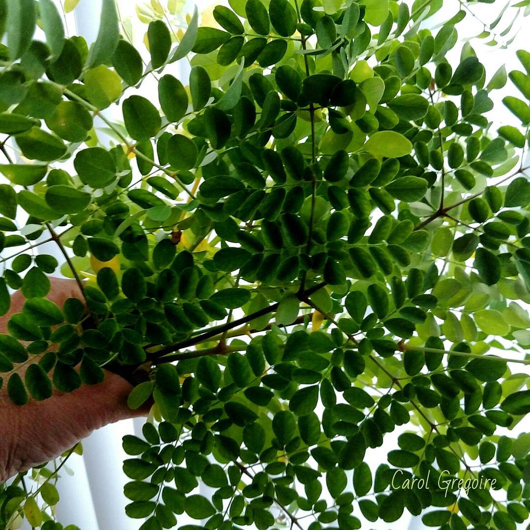 andrebrown92's tweet image. 