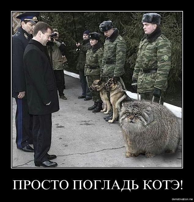 COFFoSiUAAAd_BK.jpg:large