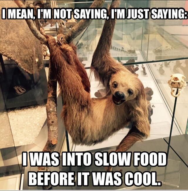 lexiebuchanan's tweet photo. The sloth is basically a hipster, or just into the slow movement, @carlhonore @ROMtoronto #ROMmeme http://t.co/wJoDGPhWkr
