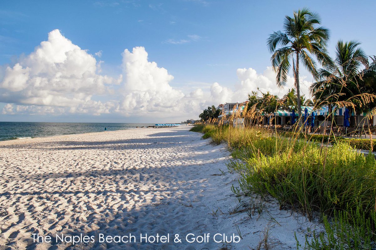 Naples Beach Hotel tweet media