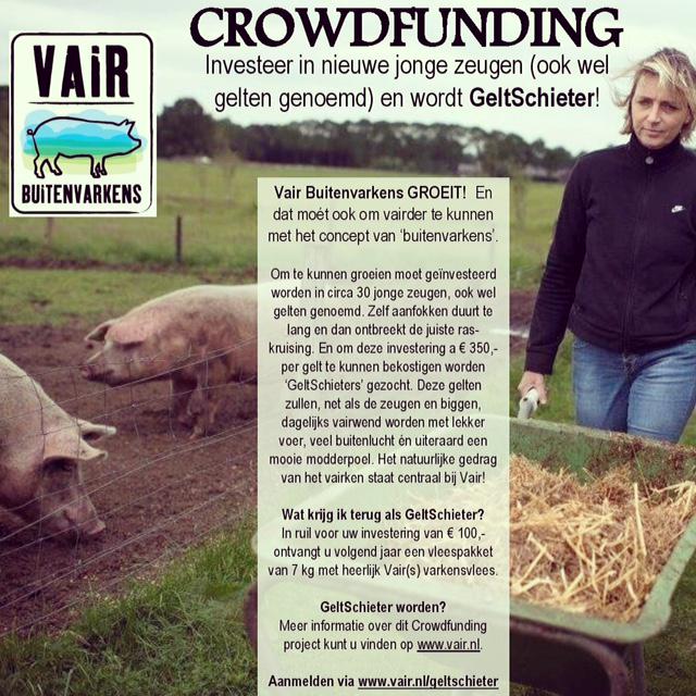 Kijk, iets nieuws! Vair Buitenvarkens wil en moet vairder groeien. En daarbij zoeken we uw hulp, GeltSchieters ;))