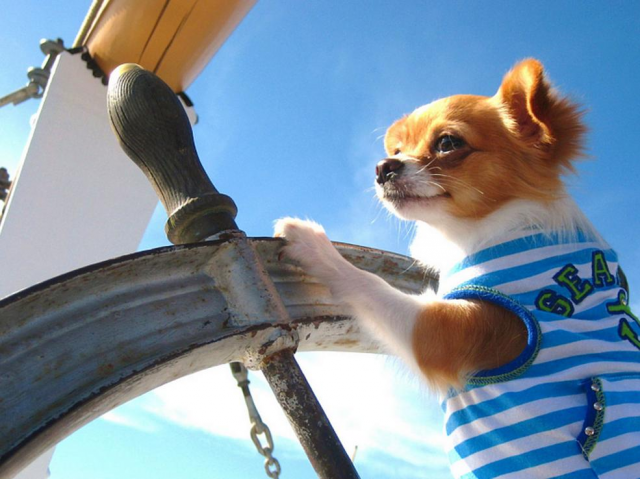 BreezeNY's tweet photo. Sail smoothly into the long weekend. http://t.co/1LKC9T4LAs
