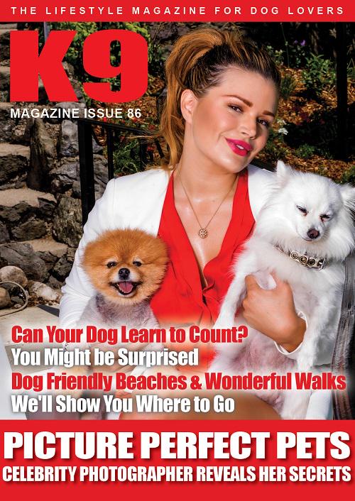 Want a preview of the next edition of <a href="/K9Magazine/">K9 Magazine</a> w/ <a href="/raquelrischard/">raquel</a> before the weekend? #dogs #pictureperfectpets