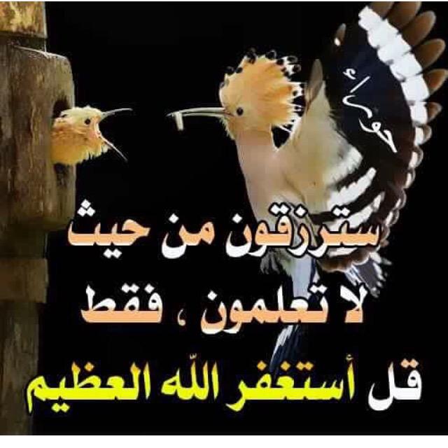 CROQUI_ENG's tweet photo. ي��دم لكم مكتب كروكي للإستشارات الهندسية . كل مايخص التصميم الهندسي والإشراف علي المباني السكنية والاستثماري والتجاري. http://t.co/P1sdhmqMEp
