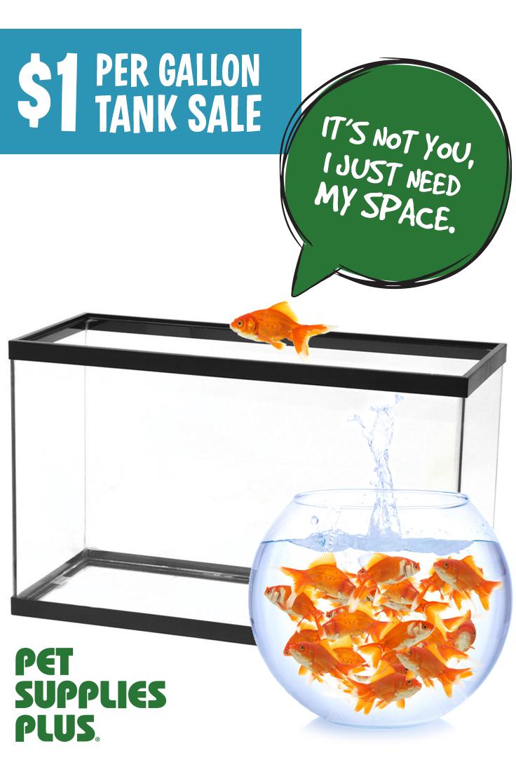 petsuppliesplus's tweet photo. There's nothing fishy about this #deal! It's our #Aqueon $1/gal. tank #sale thru 9/23! Check w/ your store 4 details. http://t.co/7N36ukU3q1