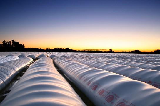 Munagropecuario's tweet photo. Notable aporte del silobolsa para la agricultura nacional: #Argentina http://t.co/arGdgsy2Zg via @Munagropecuario http://t.co/IXlTu0oIYY