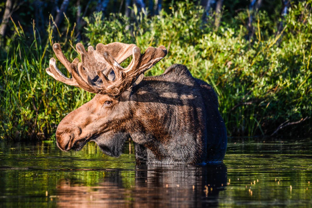 Bell 2 Lodge tweet media