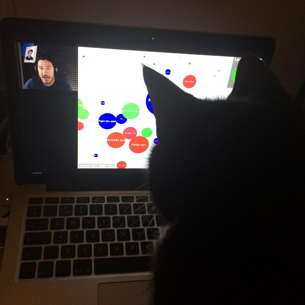 MalouGeurts's tweet photo. @markiplier my cat loves agario, so keep on playing ;) http://t.co/9d4mWeOjlZ