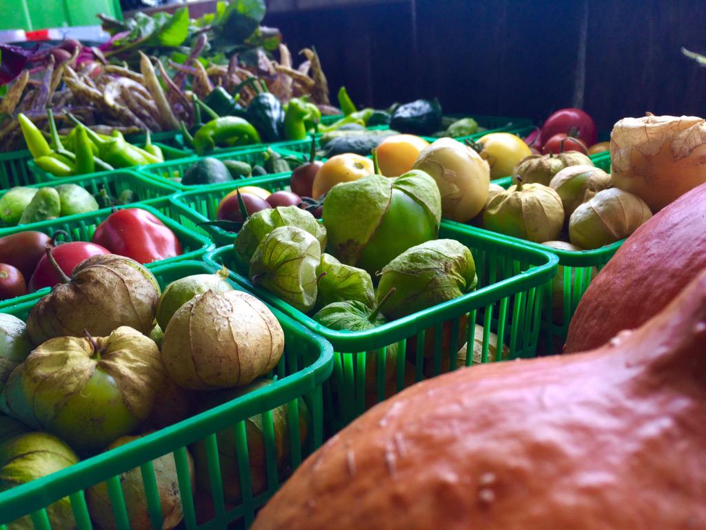 BigGuy6678's tweet photo. Veggies.... http://t.co/yLBf6MLHhM