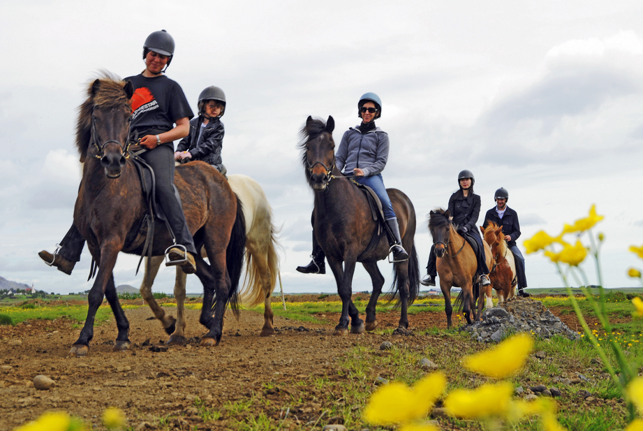 hotel_is's tweet photo. Horseback riding in Iceland is a lot of fun. #theicelandichorse #iceland #discovericeland #toursiniceland http://t.co/akjXJef8j3