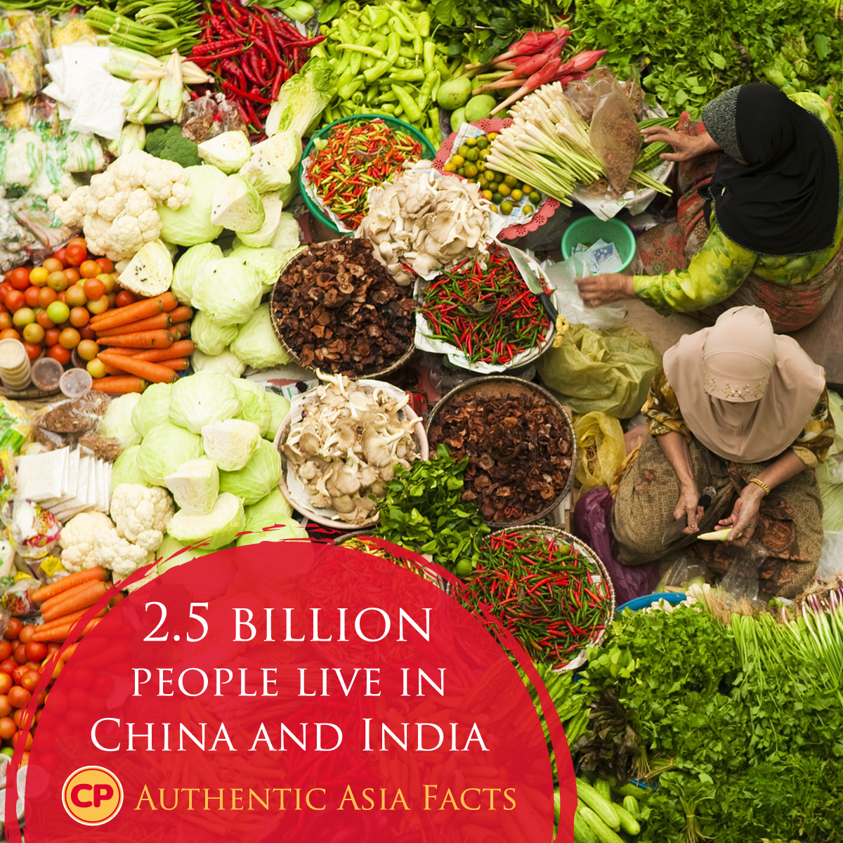 CP_Australia's tweet photo. China and India are home to a third of the world’s population. #asia #india #funfacts #population http://t.co/NX6g2vGj00