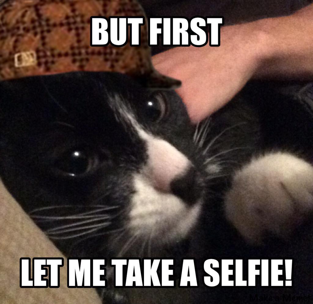 CatTheCatUK's tweet photo. Quick selfie before sleep 😴 Purrr #CatTheCat #Selfie #Kitten http://t.co/9Cbem5I9dF