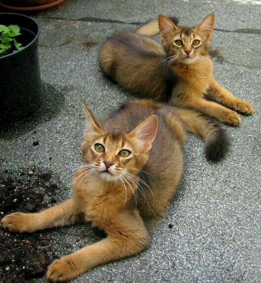 leopard4102's tweet photo. @paradisemariya @aster176562331 Update pleas!!!! M.M http://t.co/O1d719vePa