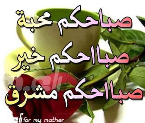 sli2015's tweet photo. @Dr_diana90 @aat33taa هلا والله http://t.co/DhQvLG85r2