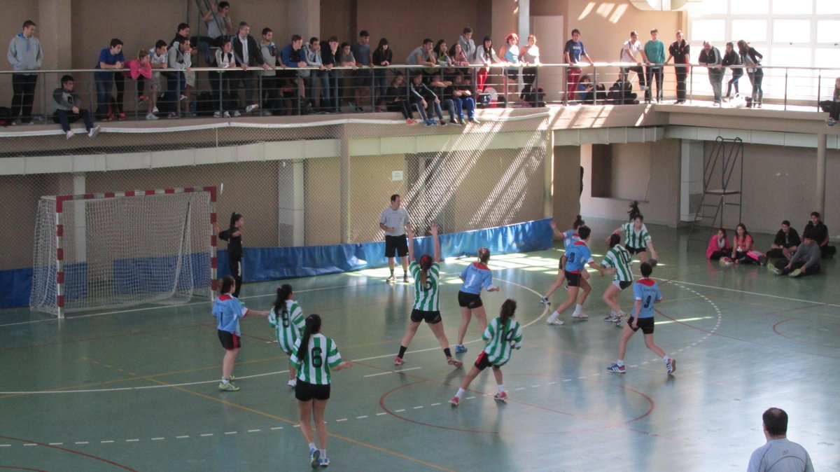 JuarOK's tweet photo. Compartimos algunas imagenes de la final de handball femenino que consagro campeon al Instituto Romero Brest http://t.co/SeG7hbX54M