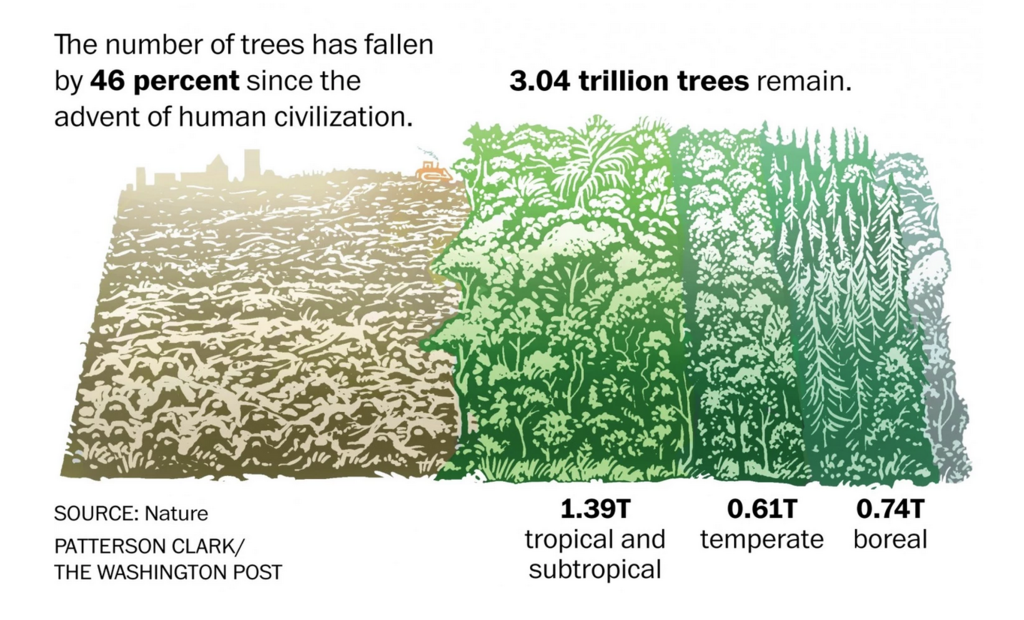 Trees are Cut down. Tree are Cutting down. Cut down Trees перевод. How many Trees. Cut them down