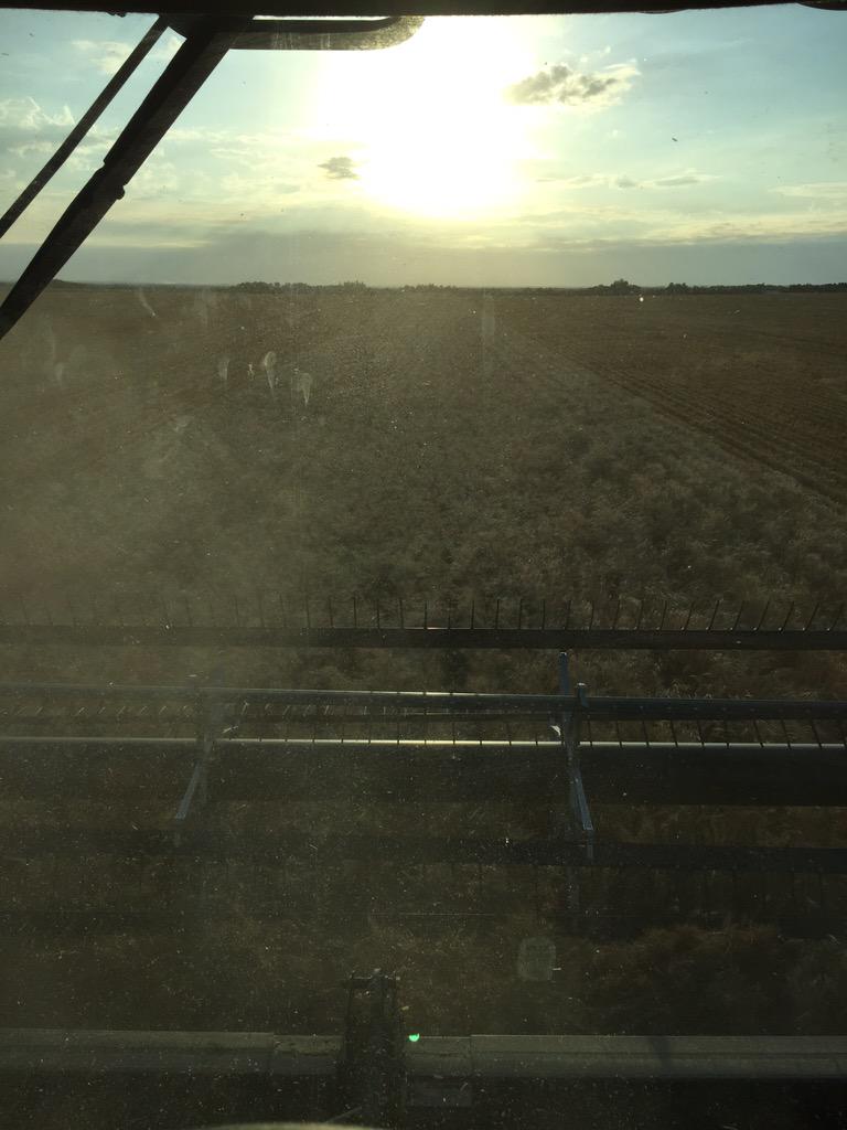 Slotfarms's tweet photo. The last pass of #wheat15 for the year What a week! Couldn't have done it without my right hand man! #AgMoreThanEver http://t.co/1mORmIZUnQ