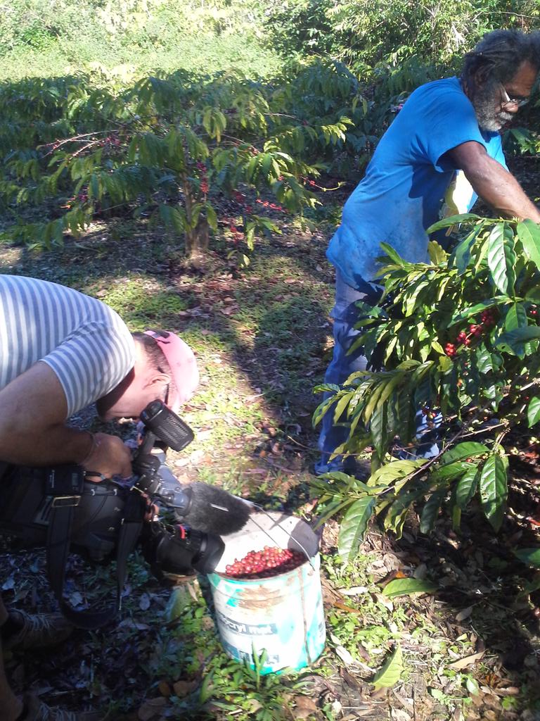 jauneaunc's tweet photo. La tournee d un collecteur de cafe. A suivre ce soir sur Nc 1ere a 19h30 http://t.co/o094ASaIPS