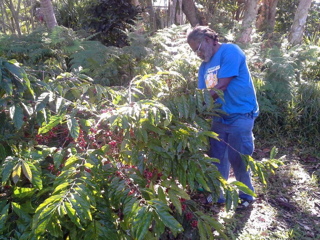 jauneaunc's tweet photo. La tournee d un recoltant de cafe. Immersion a suivre au Jt de 19 h 30 de Nc 1 http://t.co/JP5cAVUAqd