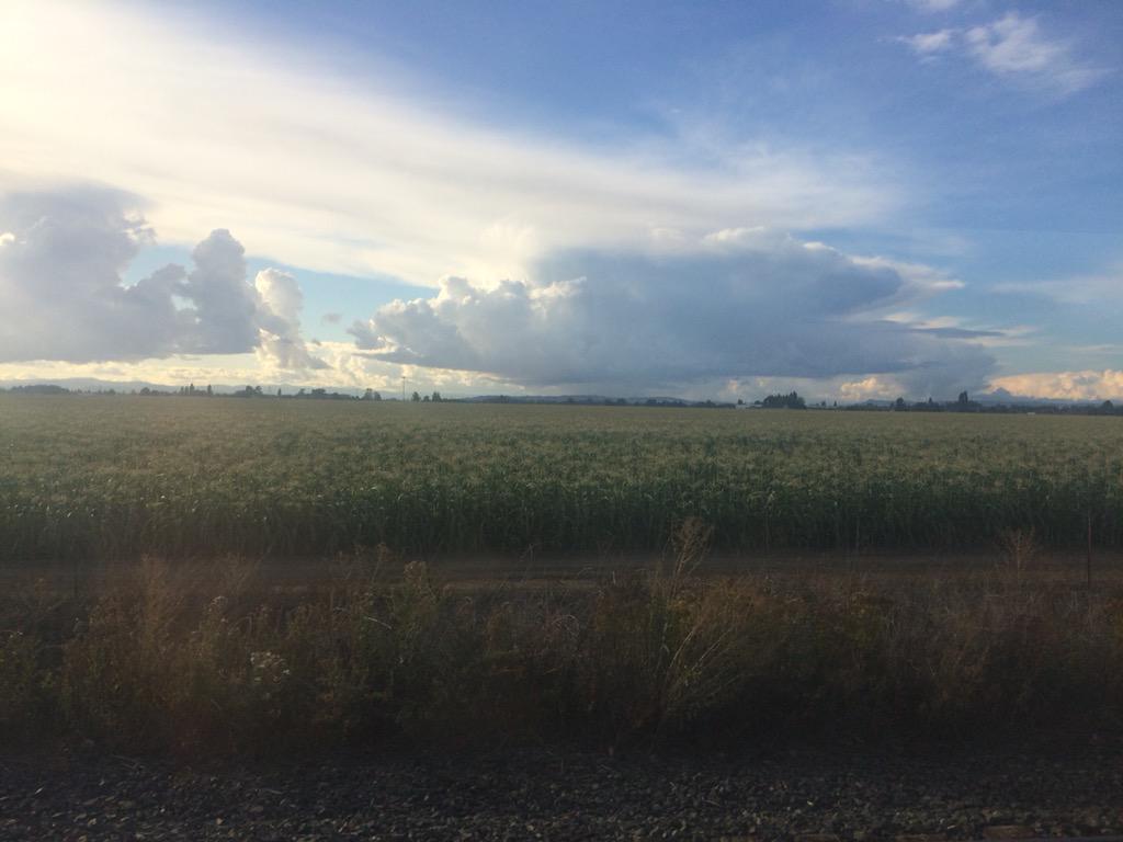 loucapwell's tweet image. Greetings from lovely Oregon! Currently on the @Amtrak_Cascades northbound, en route to Seattle! #talgo #trainstuff