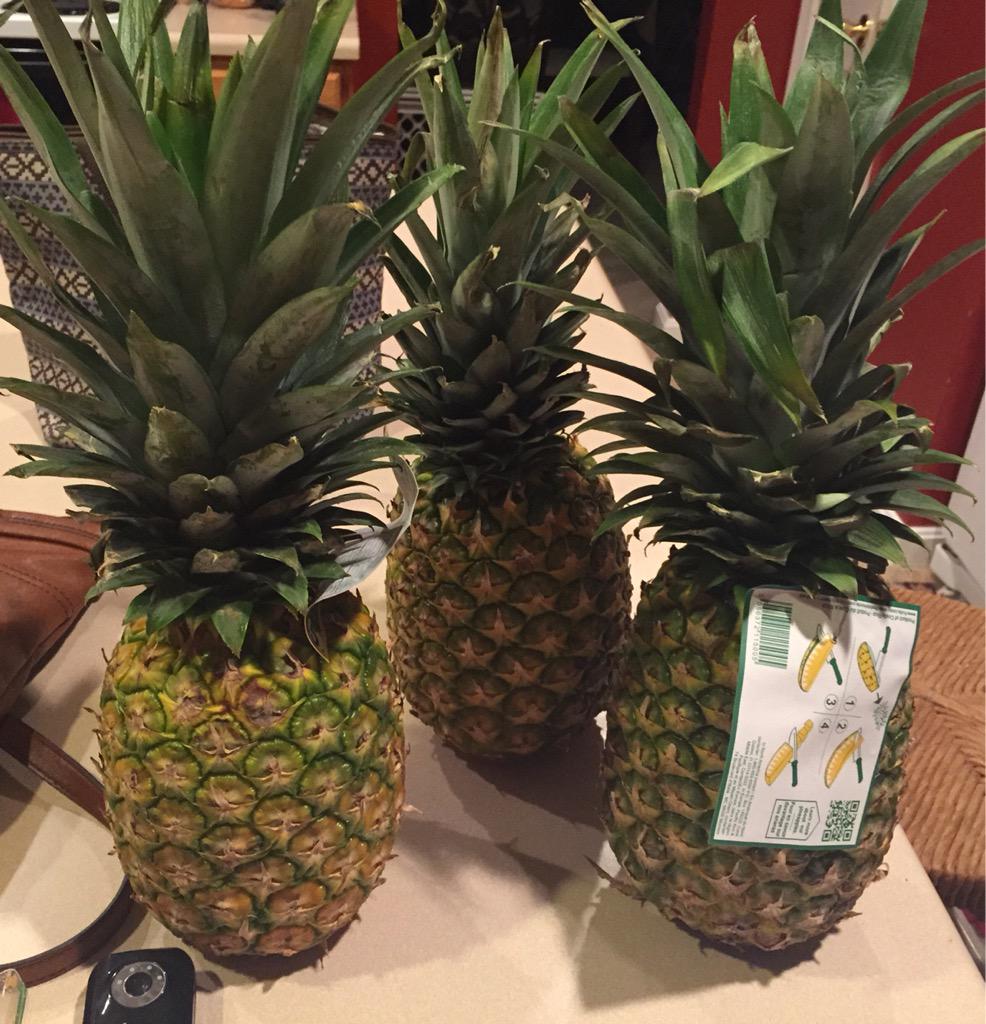 ajandowensmom's tweet photo. How you know you are loved as a teacher #pineappled #creepers http://t.co/NbOme22hs3
