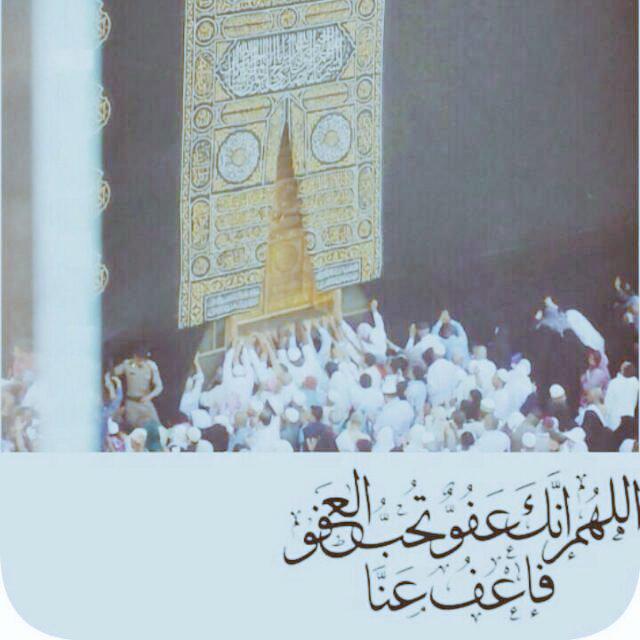 . tweet media