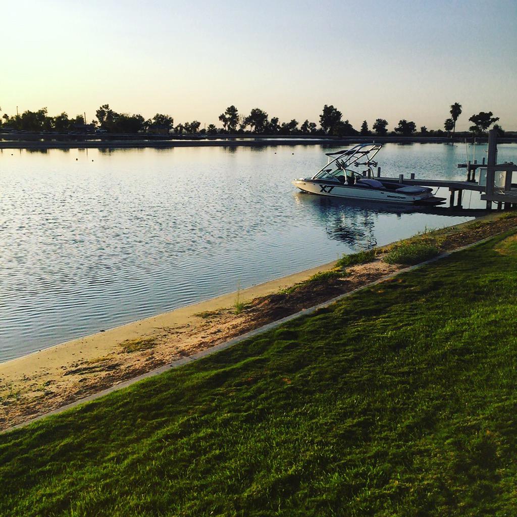 Aarde Cosseboom tweet media