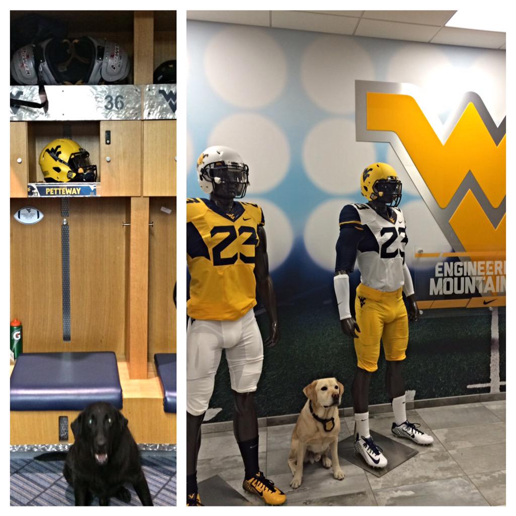 GamedayWVU's tweet photo. Thanks to Nitro & Darby for performing the explosive sweep at Mountaineer Field before tomorrow's game. #HailWV #K9PD http://t.co/NKCo2URZOf