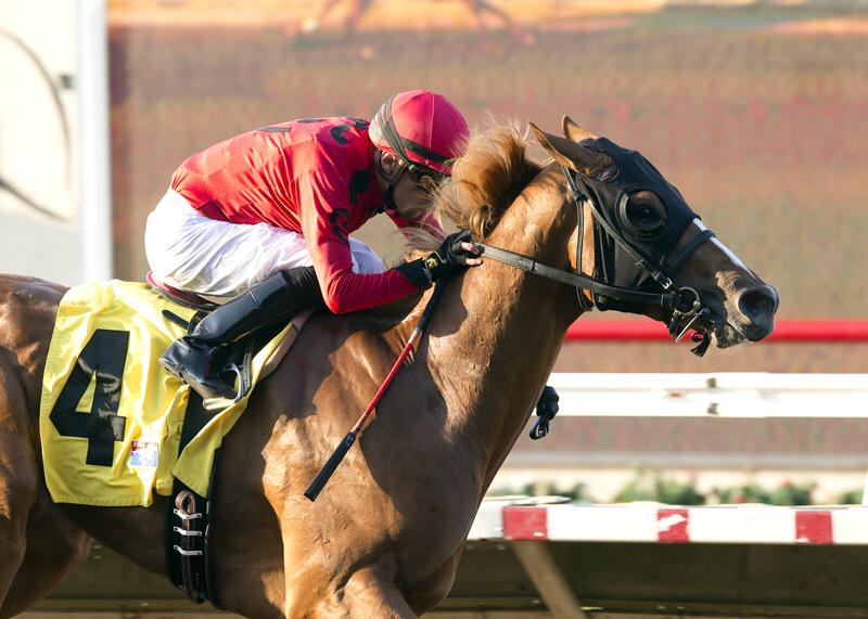 BH_AEberhardt's tweet photo. #Smokin' hot! The Irvin's #SmokeyImage wins the #ImSmokin @DelMarRacing by #SouthernImage @Rancho_SM @benoitphoto_ http://t.co/WCDSyWQIjE