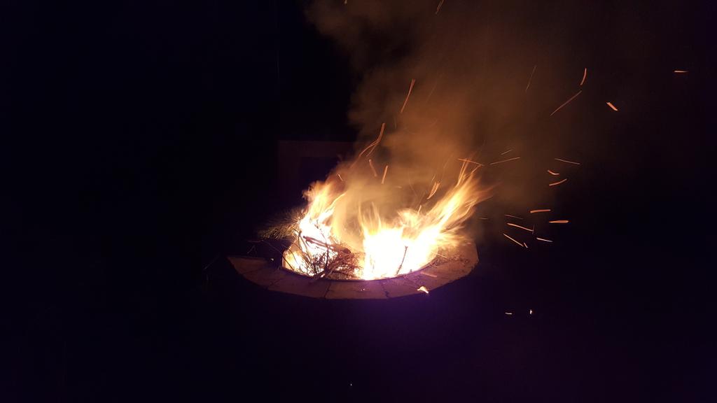 Love having a large fire pit to burn my own tree branches.