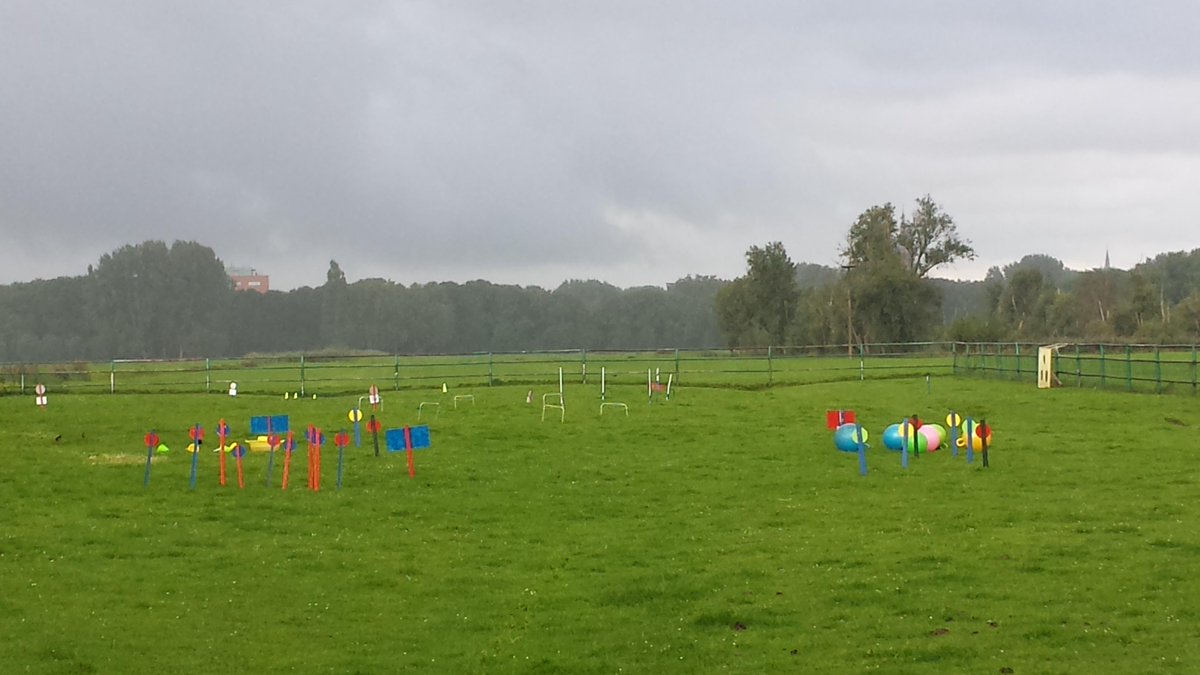 Spelletjes staan klaar voor jullie! Wie durft? 😉 #wesmeltennietvaneenbeetjeregen