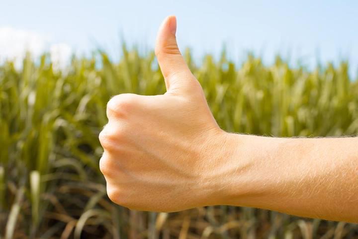 Nature is like. Фото природы. Nature is like. Исмаиллы горы луга. Мощное дерево.