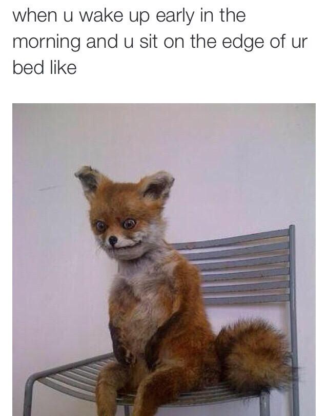 LMBProbs tweet picture