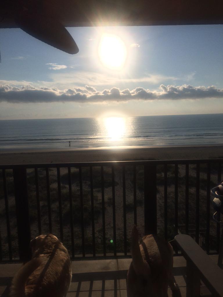 JulieRHudson's tweet photo. Oh, happy day!!!! @grayyhudson #Mayse http://t.co/tFp33RZxo6