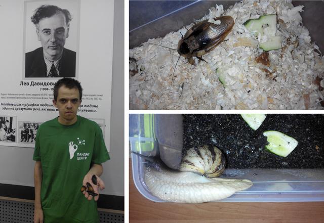 tridentthrower's tweet image. СУБОТА. 5 ВЕРЕСНЯ. ТАРГАНИ В «ЛЦ».
Поспішайте! Працюємо до 18.00.
А у Вас є фото з тарганом?
landaucentre.org