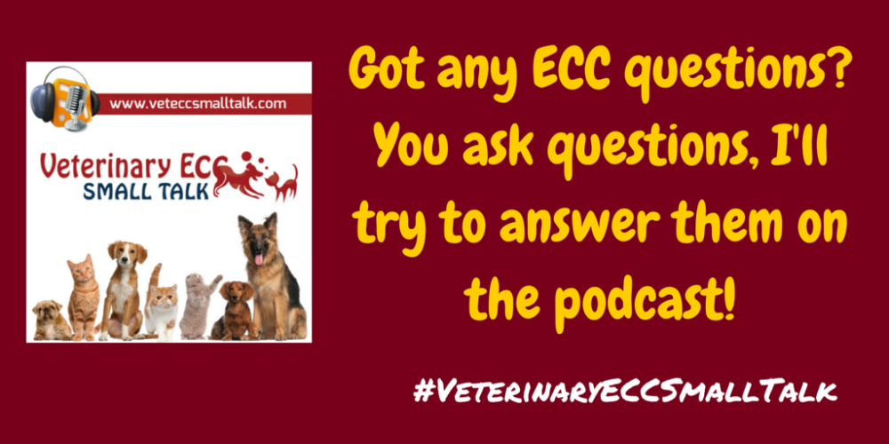 VetEmCC's tweet photo. Burning ECC questions? Something you've always wanted answered? Hit me http://t.co/ucPPOc53f1 #VeterinaryECCSmallTalk http://t.co/8f8OudwjNV