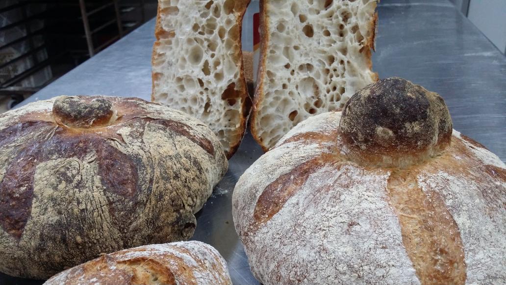 sahuquipan's tweet image. Que forma de empezar septiembre.
Máxima  hidratacion. Rock and Roll 
#AtacaBobi 
#SIVOLVIERAANACERSERIAPANADERO