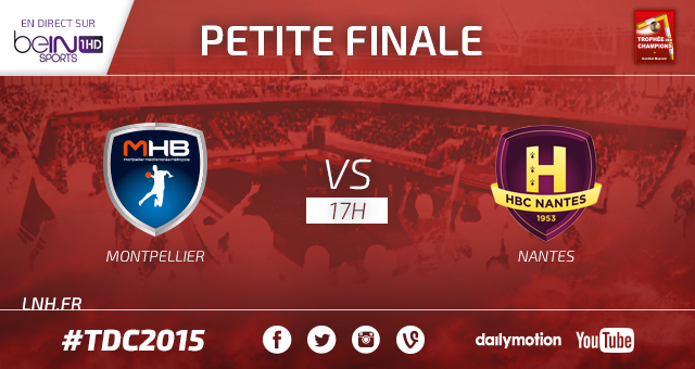 Ligue Nationale de Handball tweet media