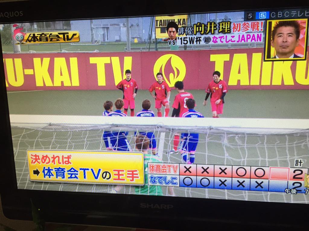 alem dos jogos, as nadeshiko tambem  aparecem na tv.