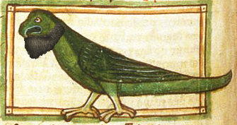 Embedded image permalink