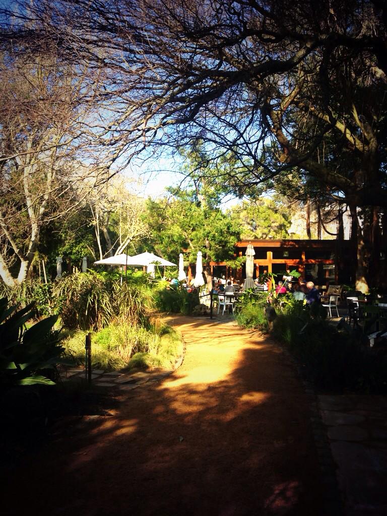 AishahMartin's tweet image. lovely morning at the company&apos;s garden restaurant #springinfullswing @CapeTown