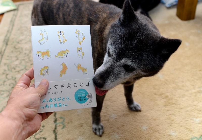 もも 一足お先に 犬しぐさ 犬ことば 9 10発売 雲が生まれるさん 著 が届きました 楽しく かわいく ちょっとせつない犬たちのイラストがいっぱい くもさんありがとう ももとじん くもといっしょに Http T Co Vawbtu0zgo Twitter