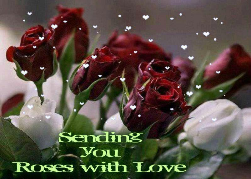 blue_saphire5's tweet photo. ═══════════ ღೋƸ̵̡Ӝ̵̨̄Ʒღೋ════════
⊰✿░S░E░N░D░I░N░G░ ⊰✿░L░O░V░E░ ⊰✿
═══════════ ღೋƸ̵̡Ӝ̵̨̄Ʒღೋ════════
@rodolfofrausto http://t.co/qH6DQMMVUl