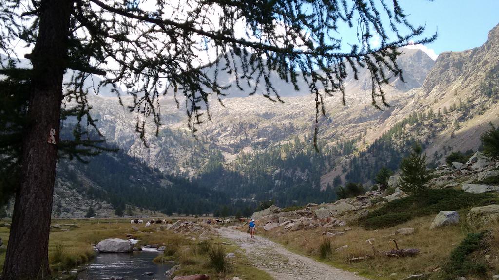 TurinItalyGuide's tweet photo. A day in #nature. @PiemonteTurismo @valdieri @BeautyfromItaly @pieterarnolli @CarloVischi http://t.co/R8JrJ8apdC