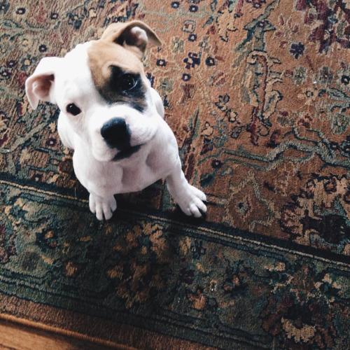 findmaterial's tweet image. Cute! ift.tt/1JWlrFI Visit my website!