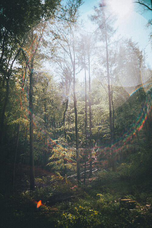 findmaterial's tweet image. 💜💛💚 ift.tt/1O4gXCZ Visit my website!